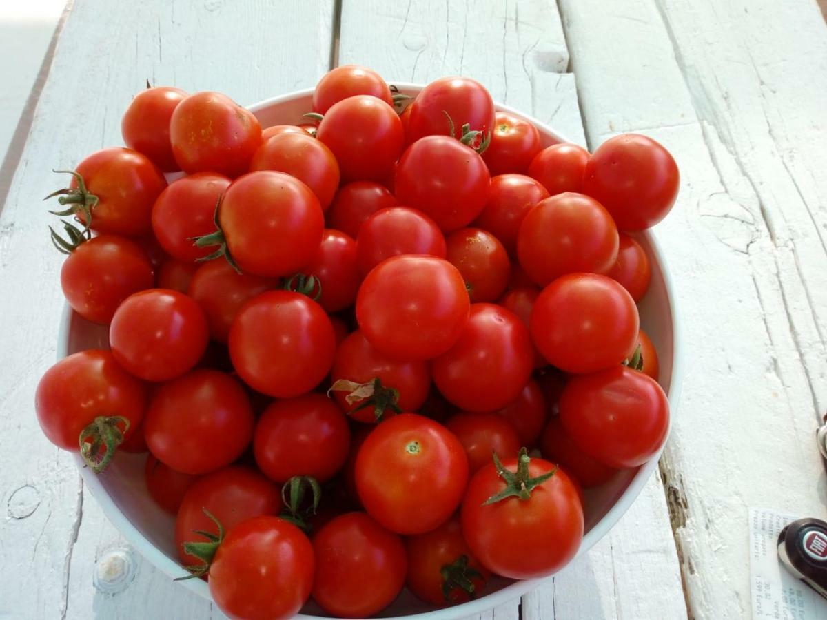 마르티나프란카 Trulli La Collinetta 빌라 외부 사진